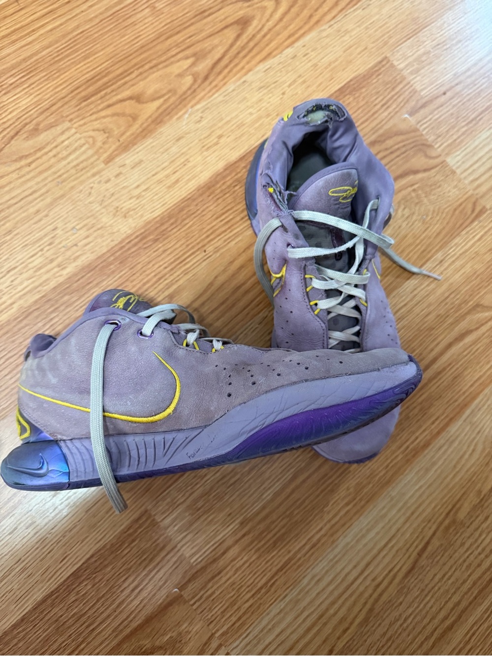Nike Lebron XXI  "Freshwater" Basketball Shoes Violet Dust University Gold